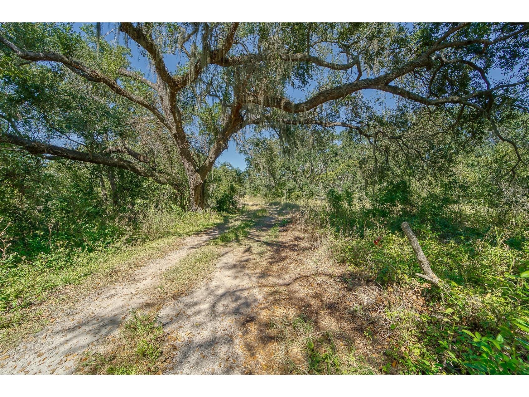 6930 Muck Pond Road Seffner FL 33584 TB8417228 image4