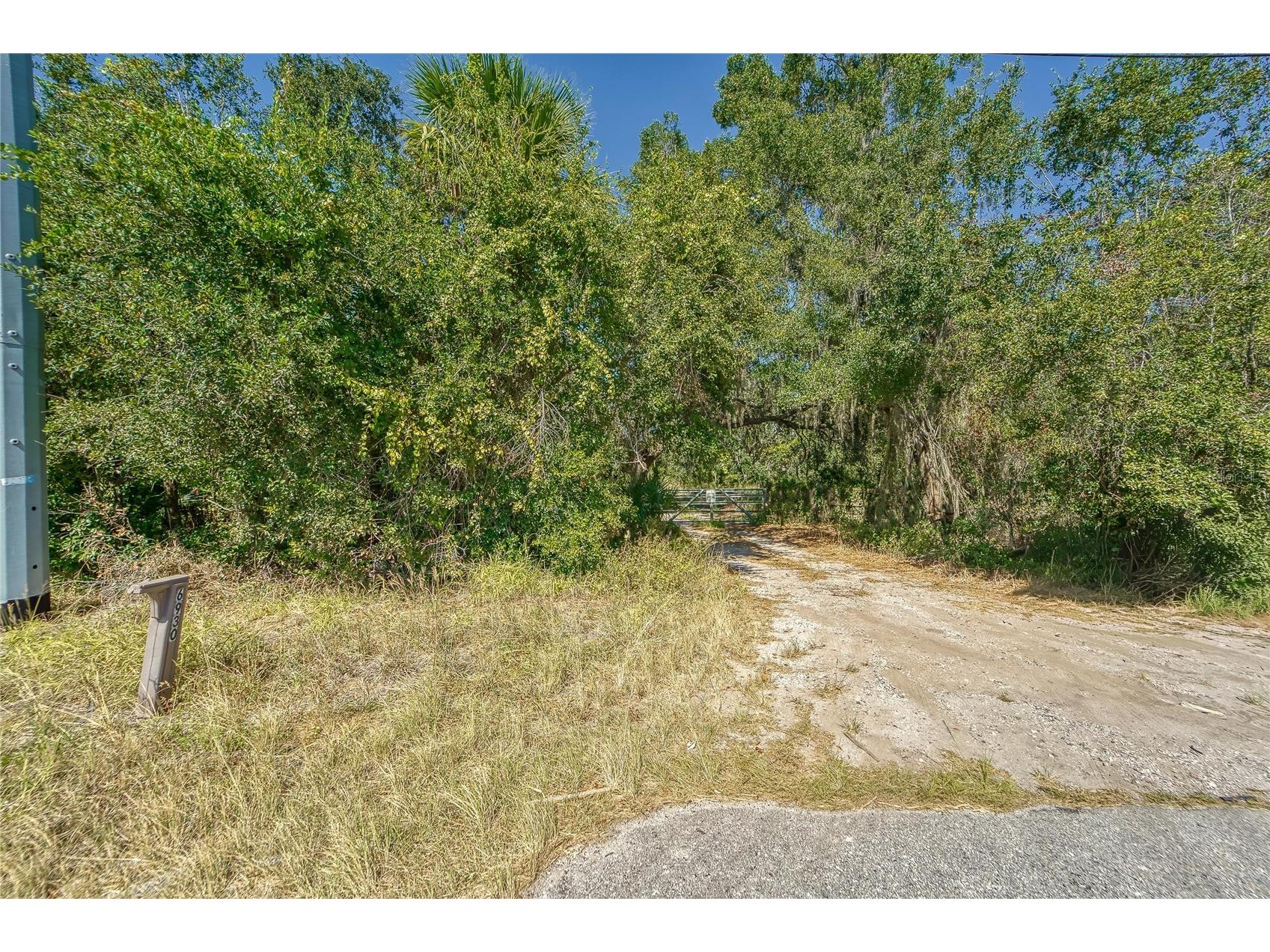 6930 Muck Pond Road Seffner FL 33584 TB8417228 image6