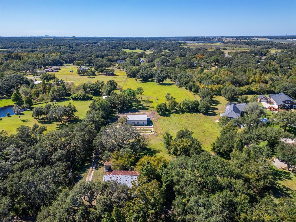 6930 Muck Pond Road Seffner FL 33584 TB8438375 image21