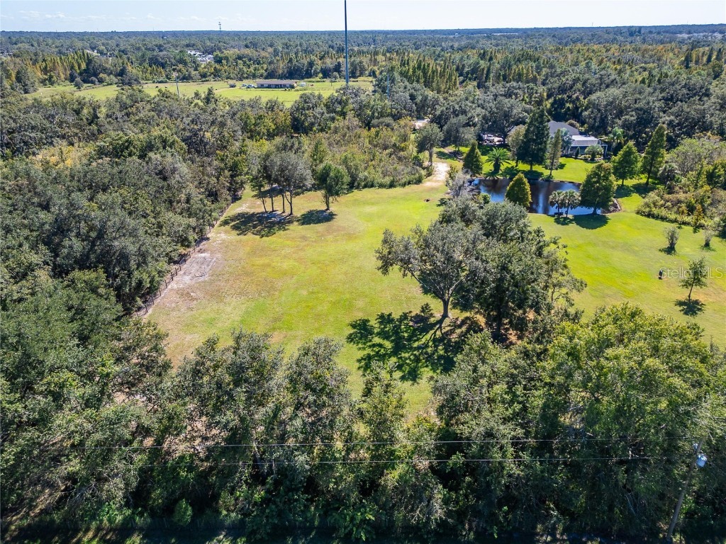 6930 Muck Pond Road Seffner FL 33584 TB8438375 image7