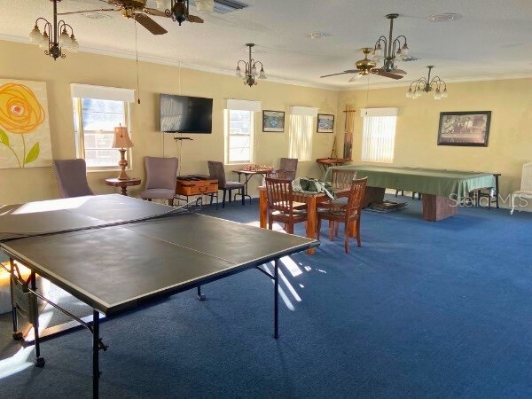 6930A Place De La Paix #2B South Pasadena FL 33707 TB8474068 image17