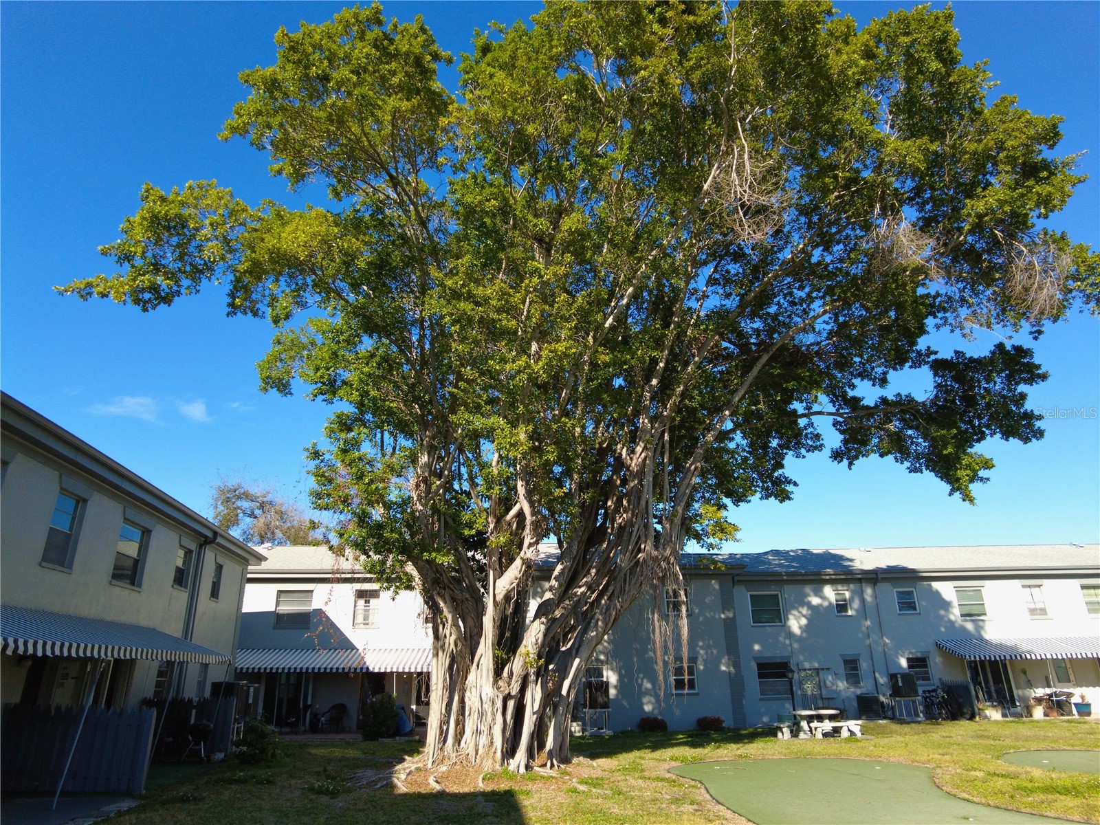 6930A Place De La Paix #2B South Pasadena FL 33707 TB8474068 image3