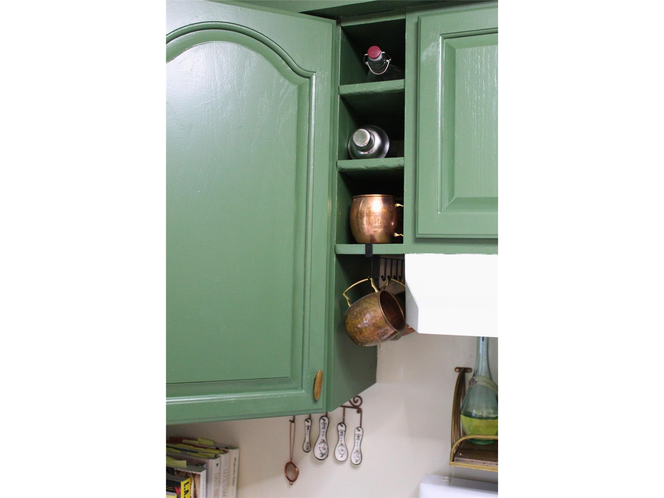 6930A Place De La Paix #2B South Pasadena FL 33707 TB8474068 image9