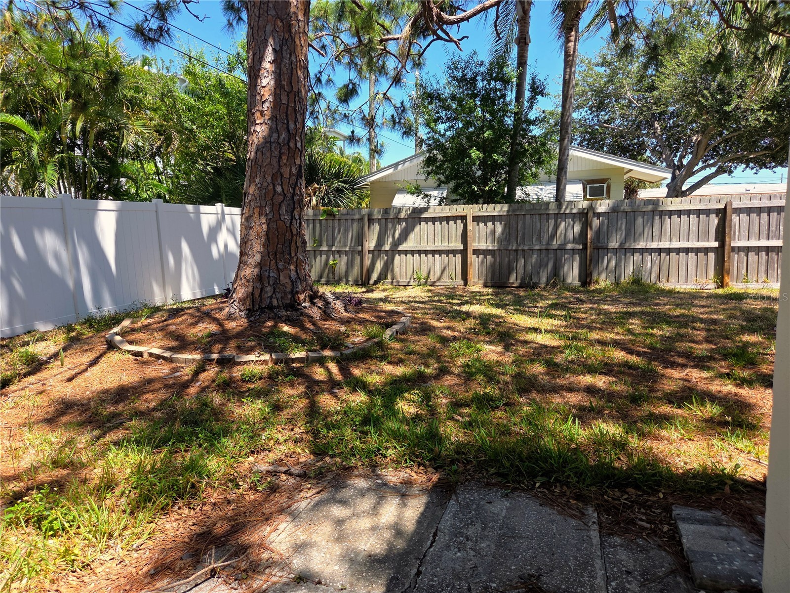 6931 Hibiscus Avenue S #3C South Pasadena FL 33707 TB8506170 image20