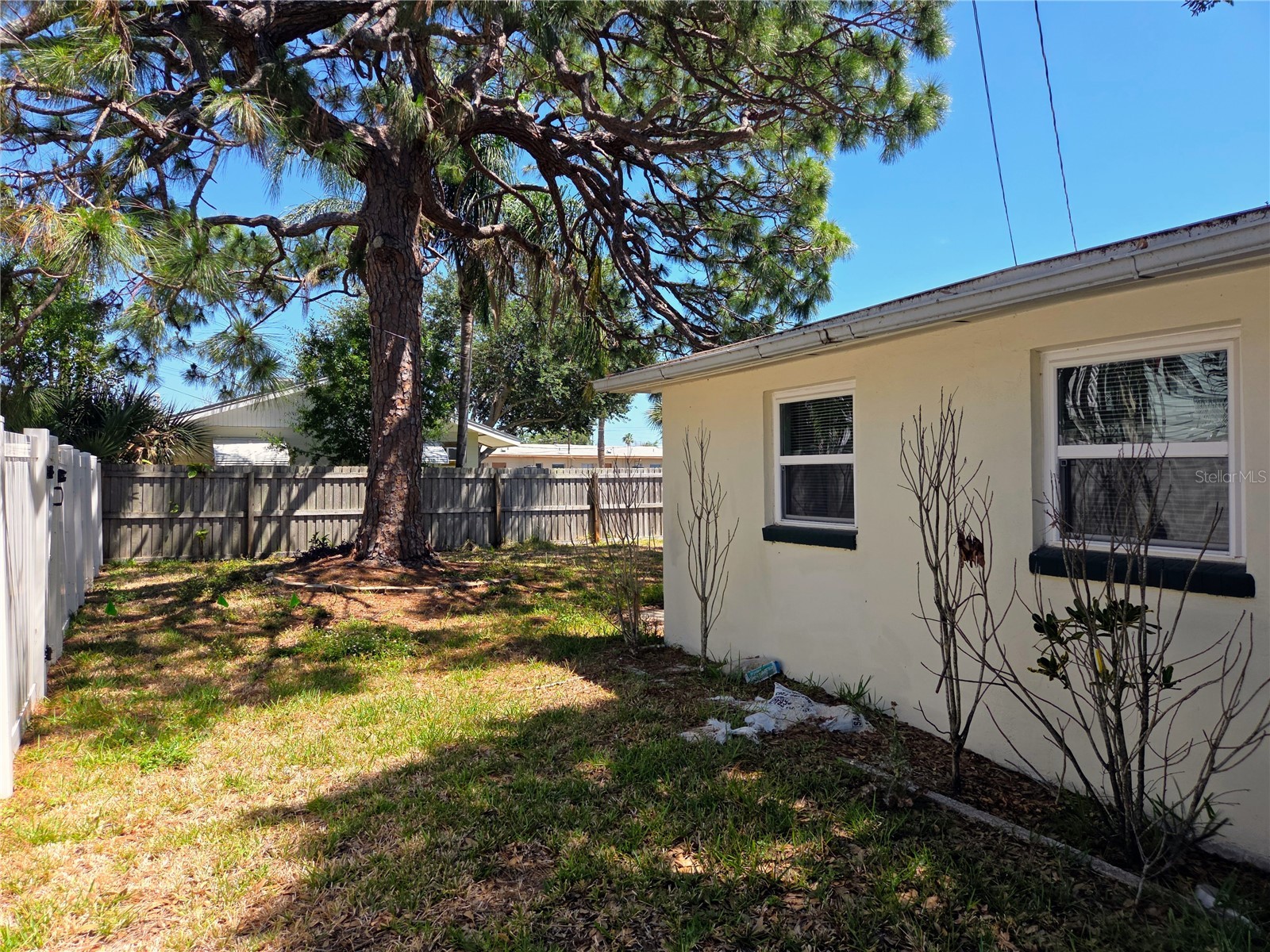6931 Hibiscus Avenue S #3C South Pasadena FL 33707 TB8506170 image25