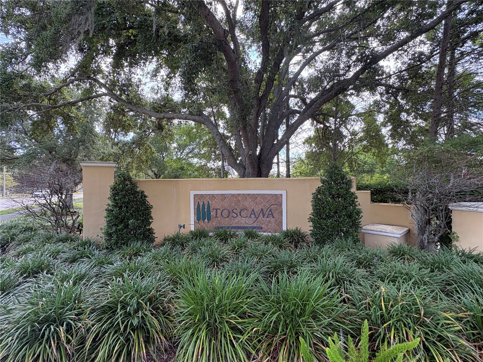 6931 Lucca Street Orlando FL 32819 S5150639 image2