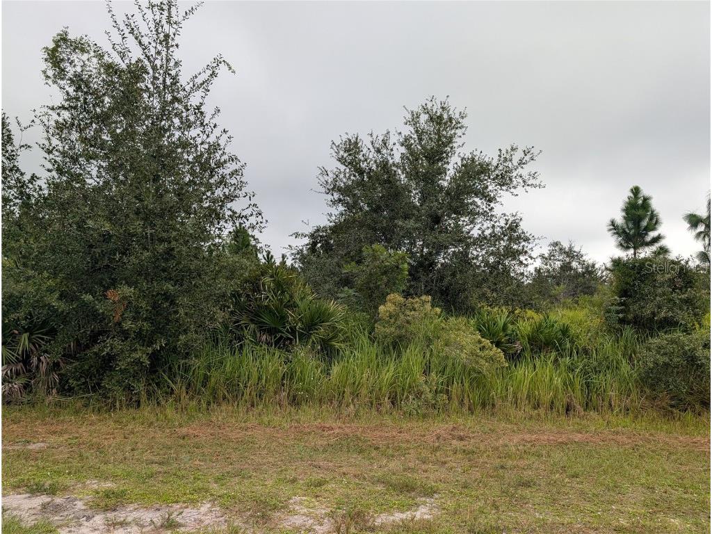 6931 Orlando Drive Indian Lake Estates FL 33855 - LAKE WALK-IN-WATER TB8439855 image3