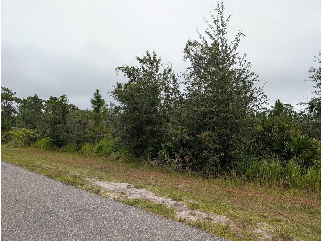 6931 Orlando Drive Indian Lake Estates FL 33855 - LAKE WALK-IN-WATER TB8439855 image8