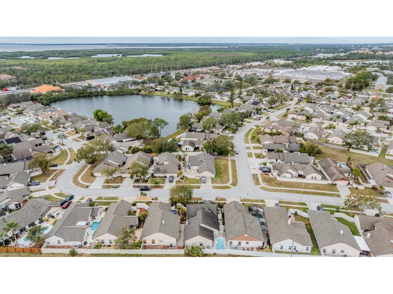 6931 Silvermill Drive Tampa FL 33635 TB8340121 image25