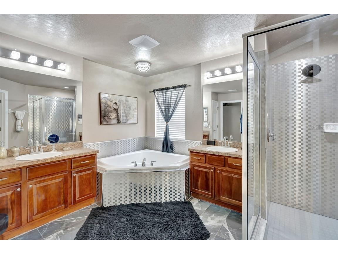 6932 Gray Catbird Loop Wesley Chapel FL 33545 S5128607 image12