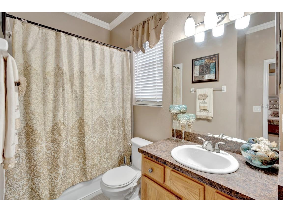 6932 Gray Catbird Loop Wesley Chapel FL 33545 S5128607 image14