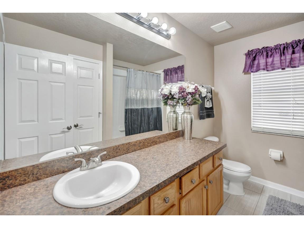 6932 Gray Catbird Loop Wesley Chapel FL 33545 S5128607 image16