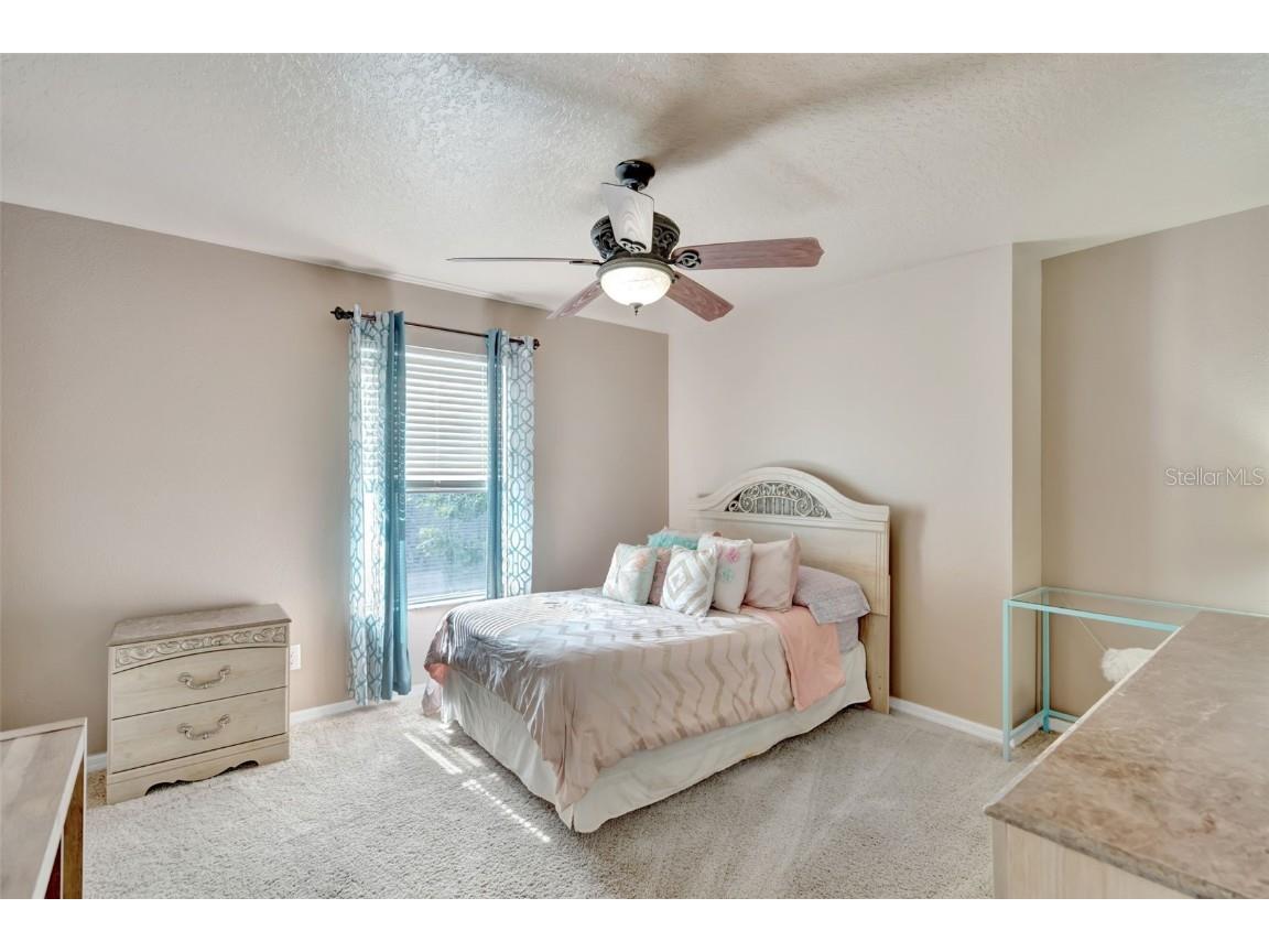 6932 Gray Catbird Loop Wesley Chapel FL 33545 S5128607 image17