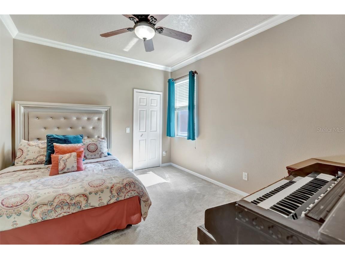 6932 Gray Catbird Loop Wesley Chapel FL 33545 S5128607 image18