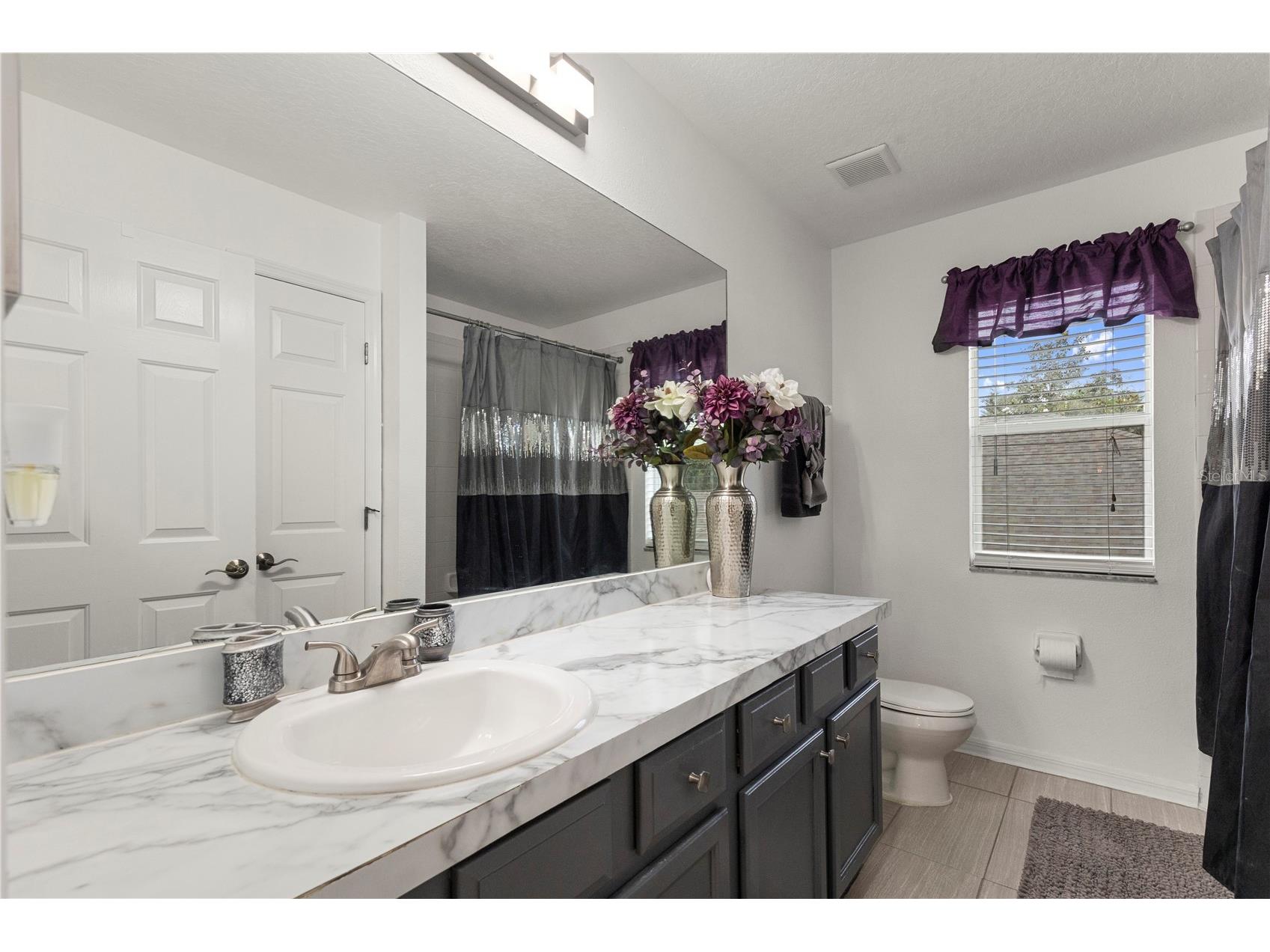 6932 Gray Catbird Loop Wesley Chapel FL 33545 TB8509336 image47