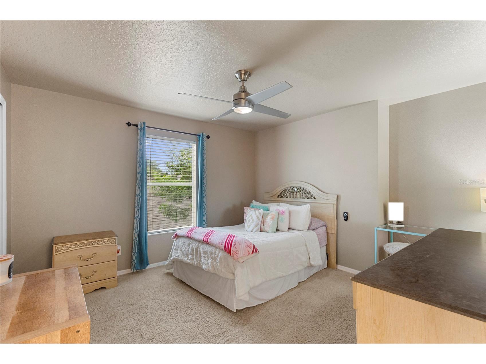 6932 Gray Catbird Loop Wesley Chapel FL 33545 TB8509336 image48