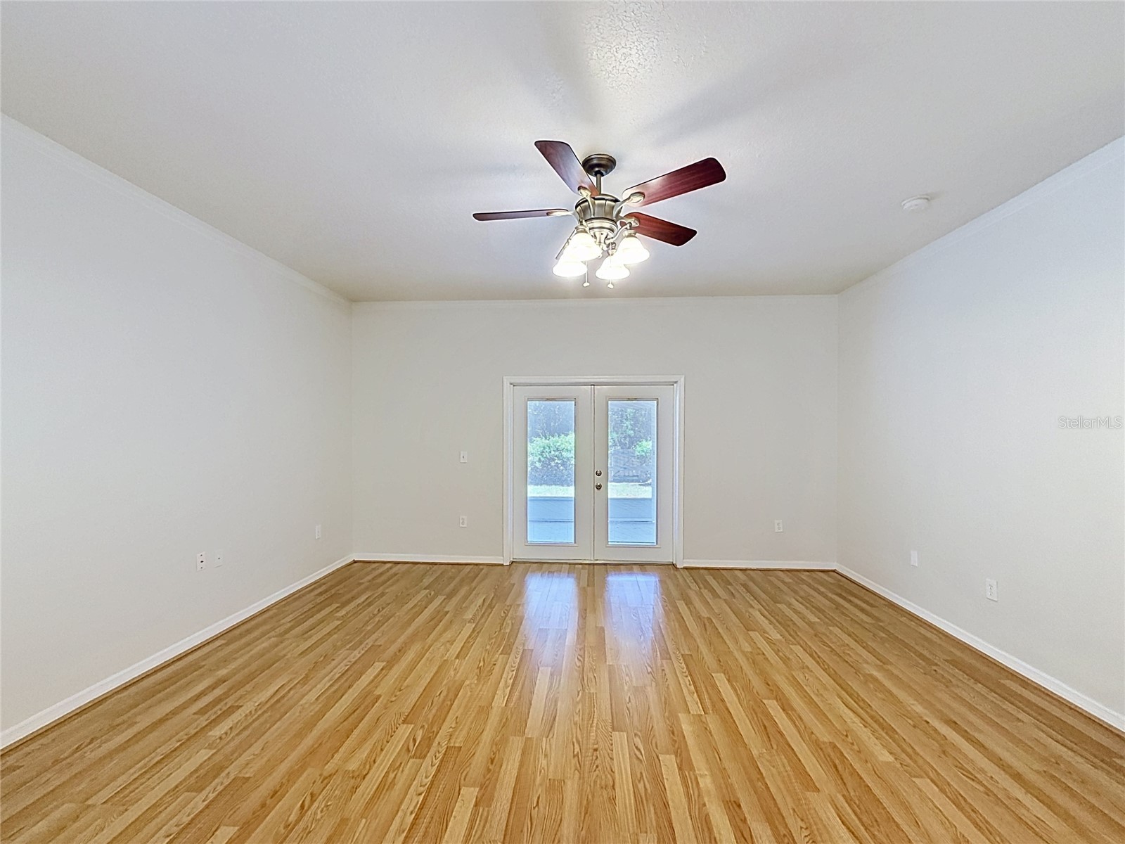 6932 Monarch Park Drive Apollo Beach FL 33572 TB8506773 image24