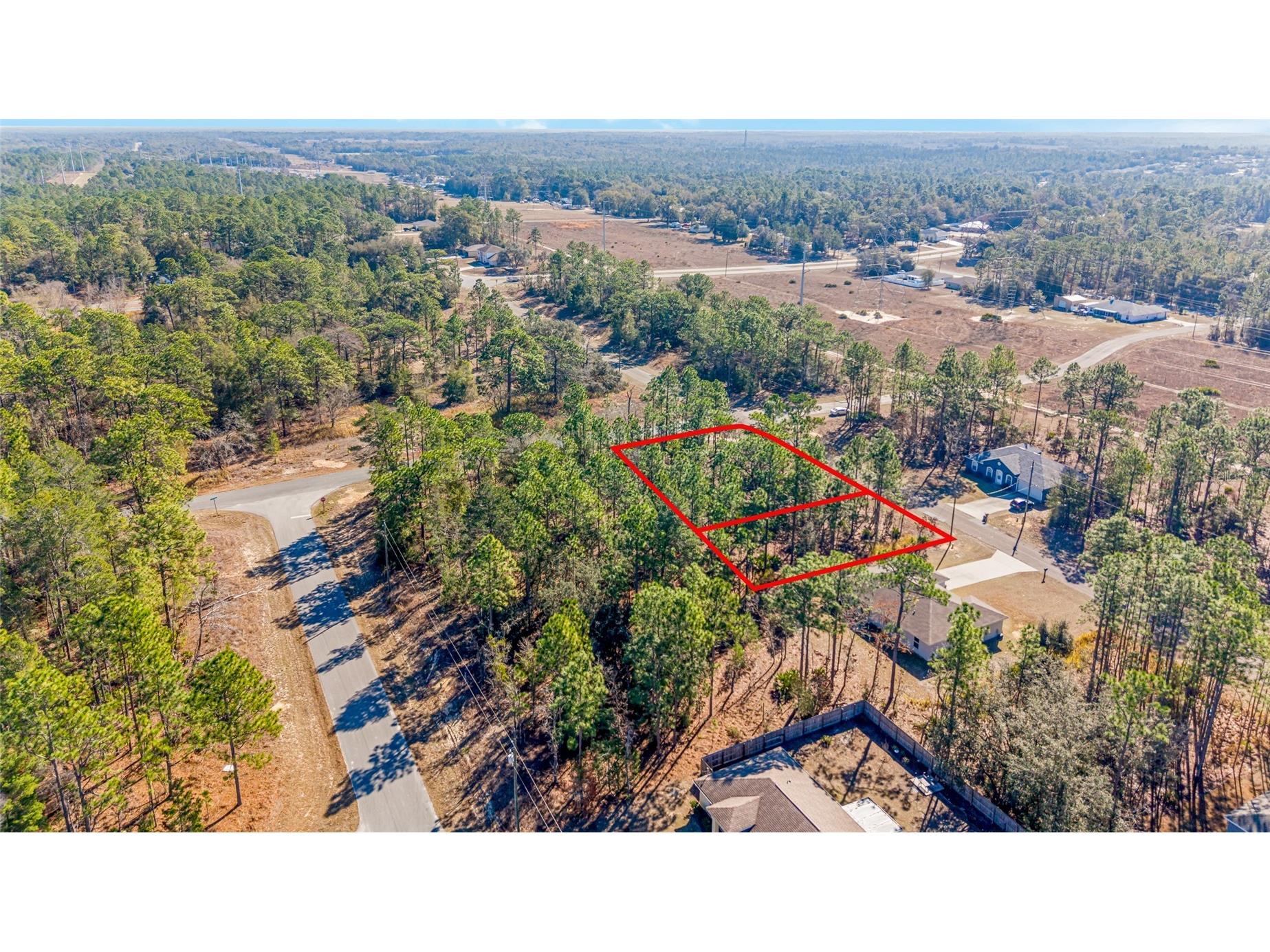 6932 N Glenridge Circle Citrus Springs FL 34434 W7882575 image12