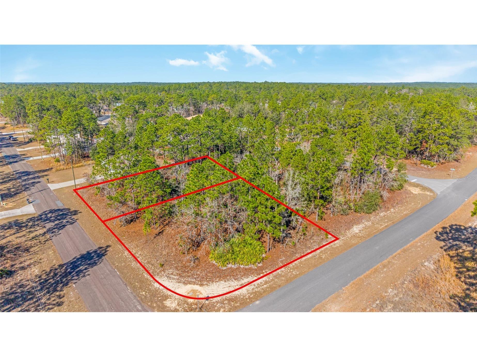 6932 N Glenridge Circle Citrus Springs FL 34434 W7882575 image13