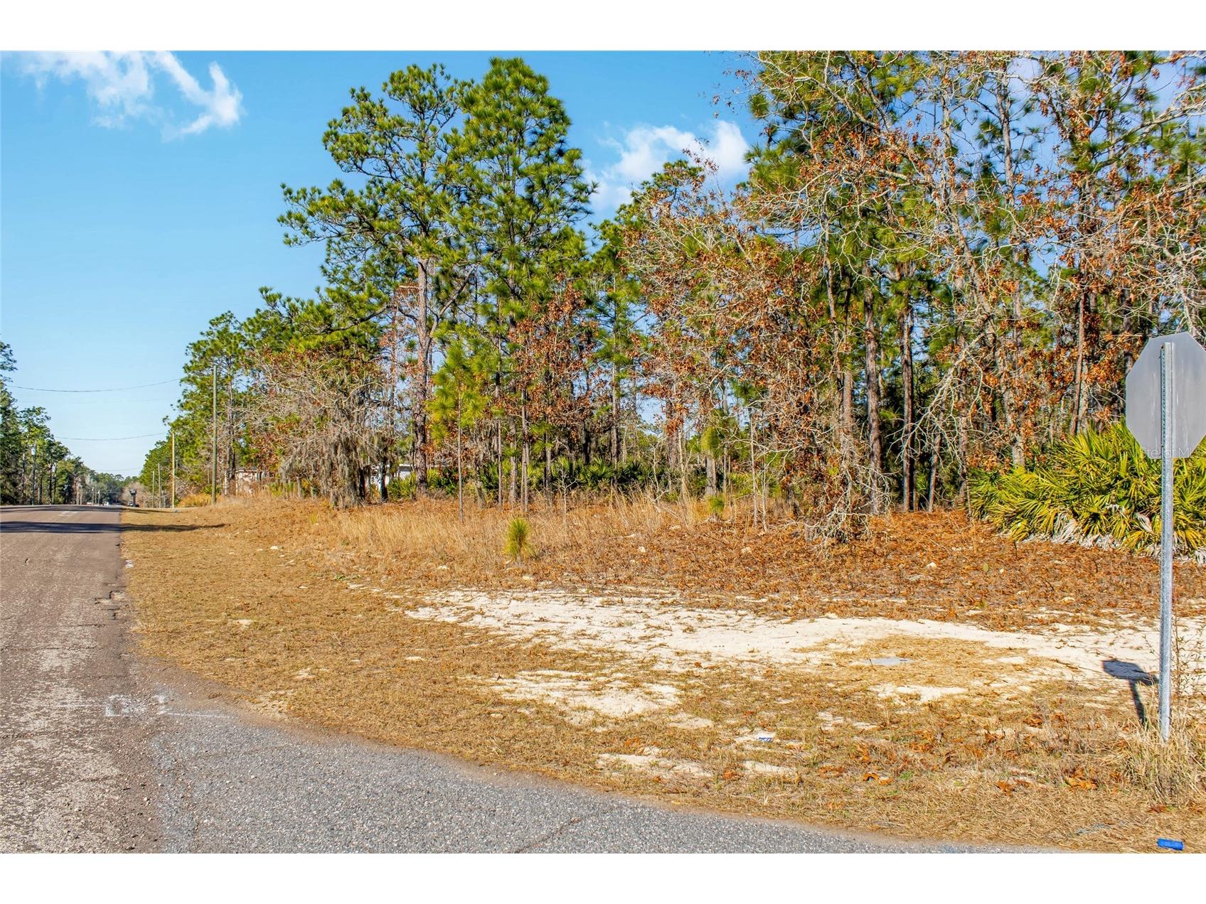 6932 N Glenridge Circle Citrus Springs FL 34434 W7882575 image14