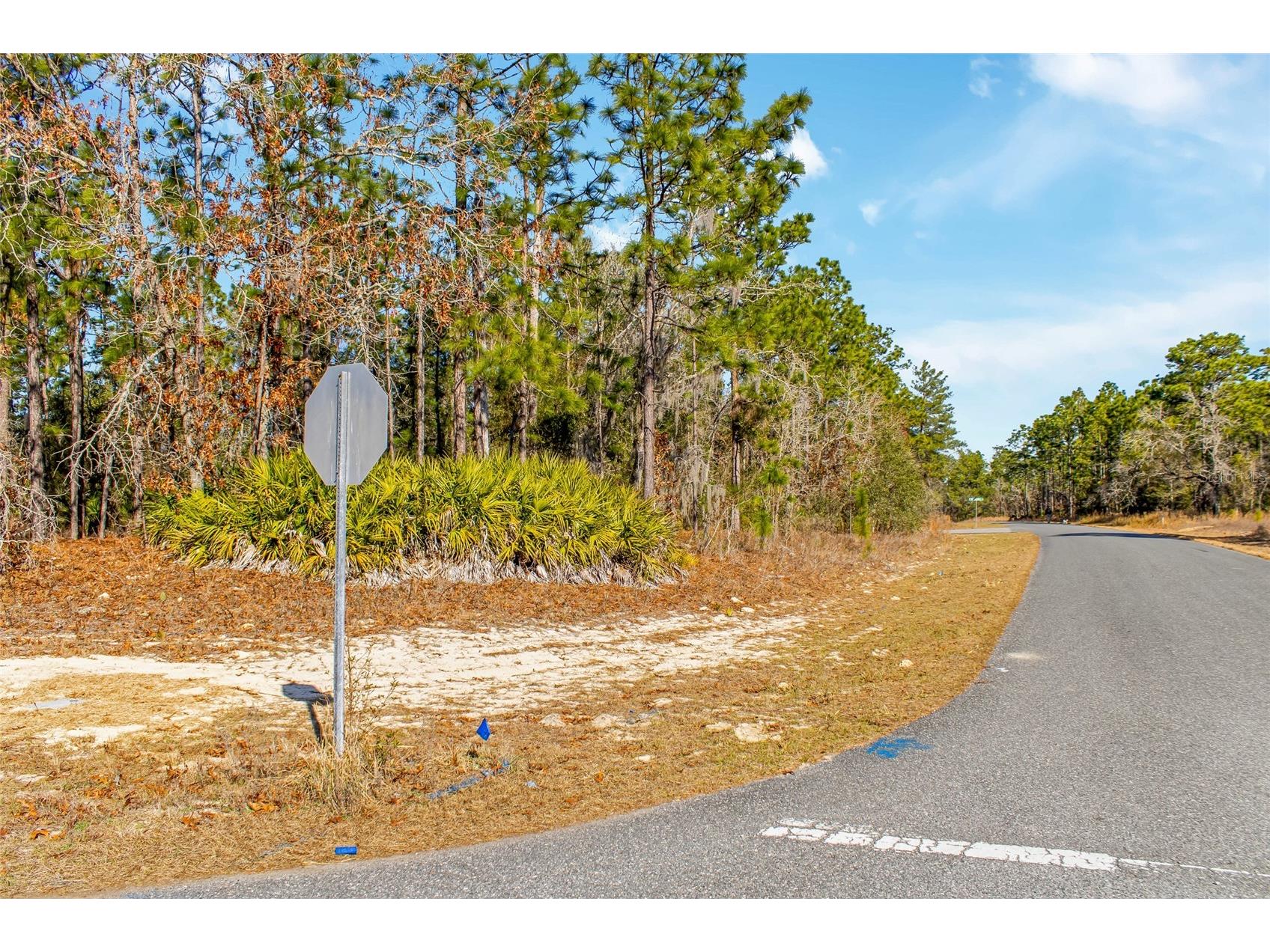 6932 N Glenridge Circle Citrus Springs FL 34434 W7882575 image15