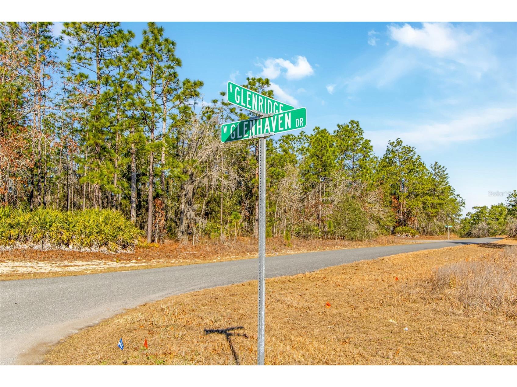 6932 N Glenridge Circle Citrus Springs FL 34434 W7882575 image3