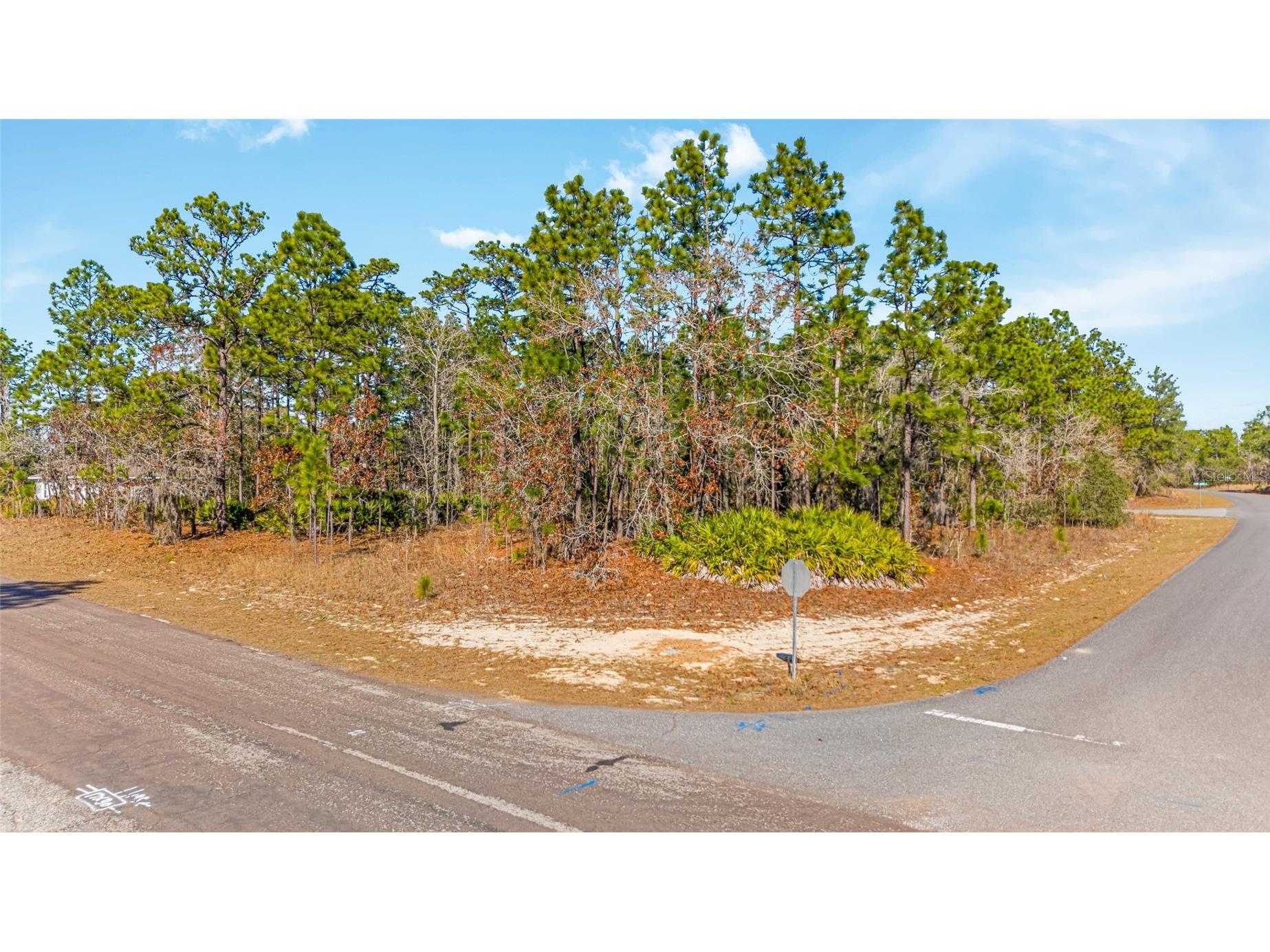 6932 N Glenridge Circle Citrus Springs FL 34434 W7882575 image4