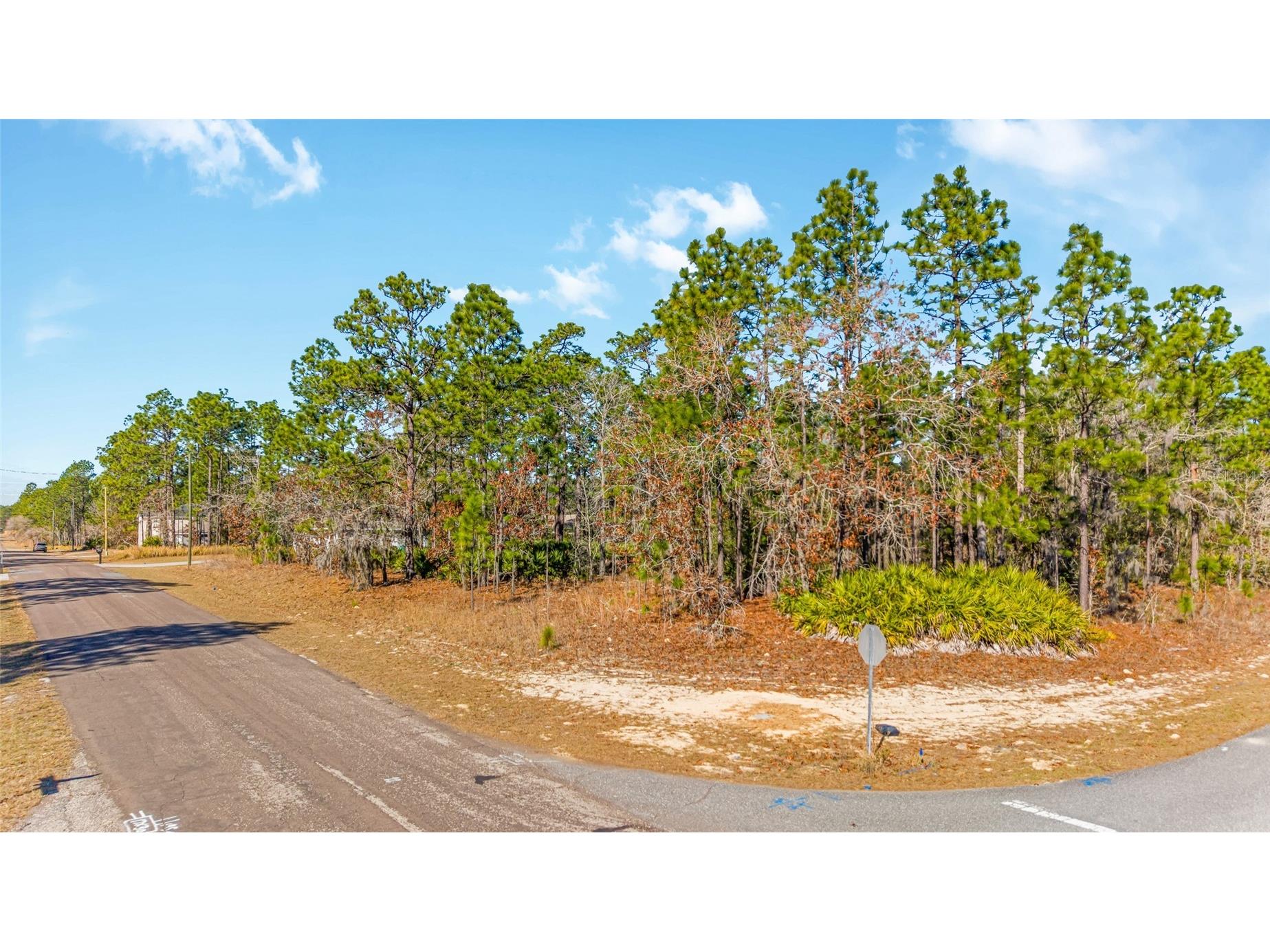 6932 N Glenridge Circle Citrus Springs FL 34434 W7882575 image5