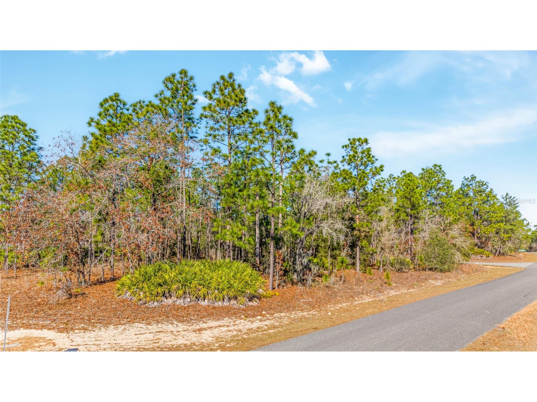 6932 N Glenridge Circle Citrus Springs FL 34434 W7882575 image6