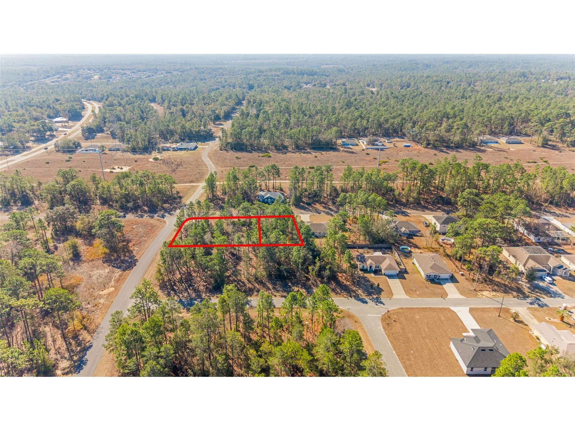 6932 N Glenridge Circle Citrus Springs FL 34434 W7882575 image9