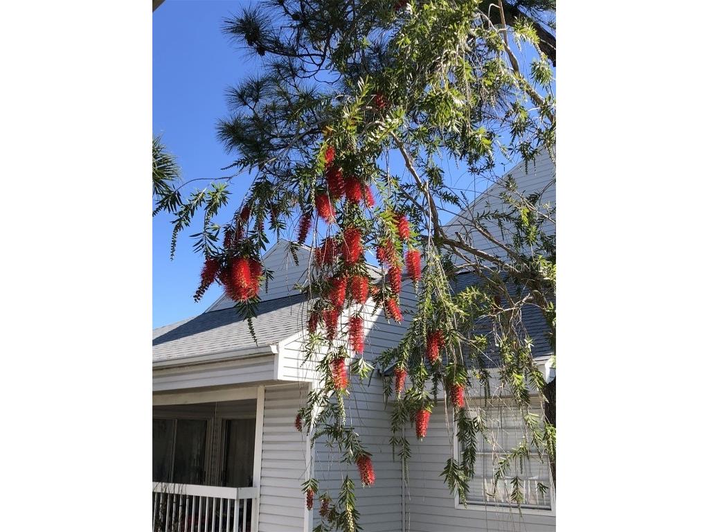 6932 Stones Throw Circle N #7204 Saint Petersburg FL 33710 TB8429216 image25