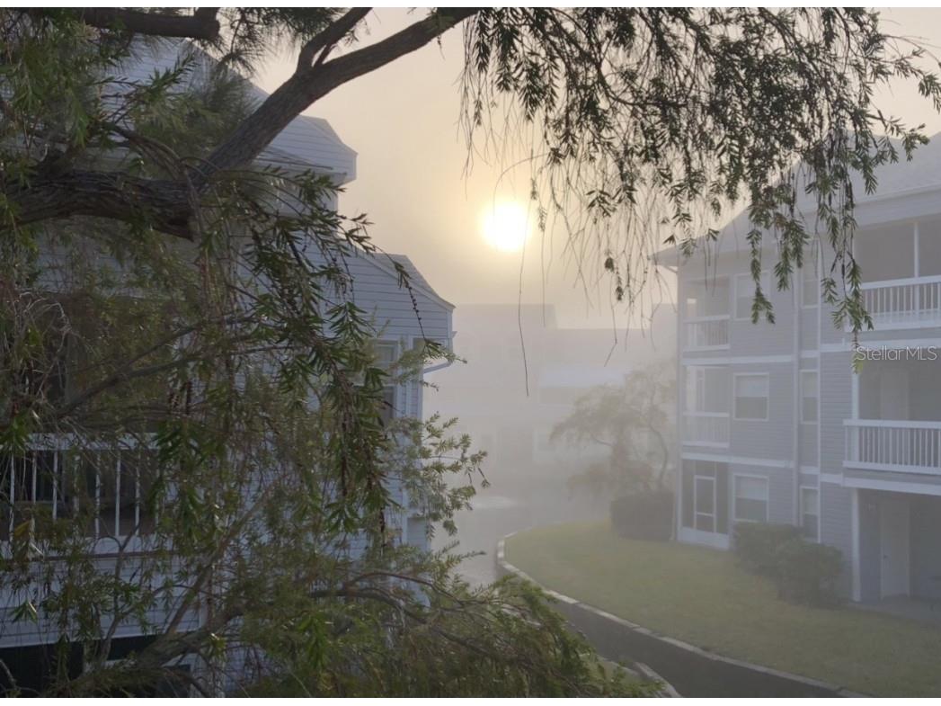 6932 Stones Throw Circle N #7204 Saint Petersburg FL 33710 TB8429216 image27