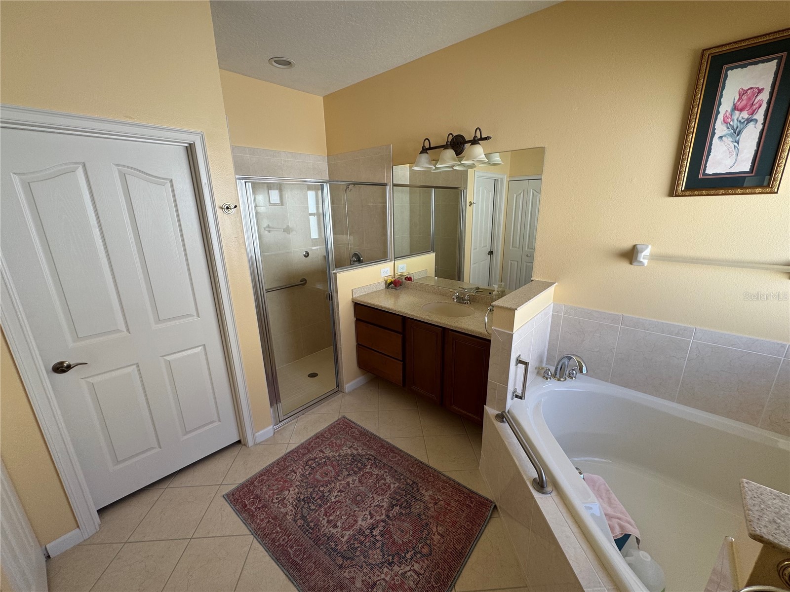 6933 Premonition Drive Melbourne FL 32940 TB8467676 image26