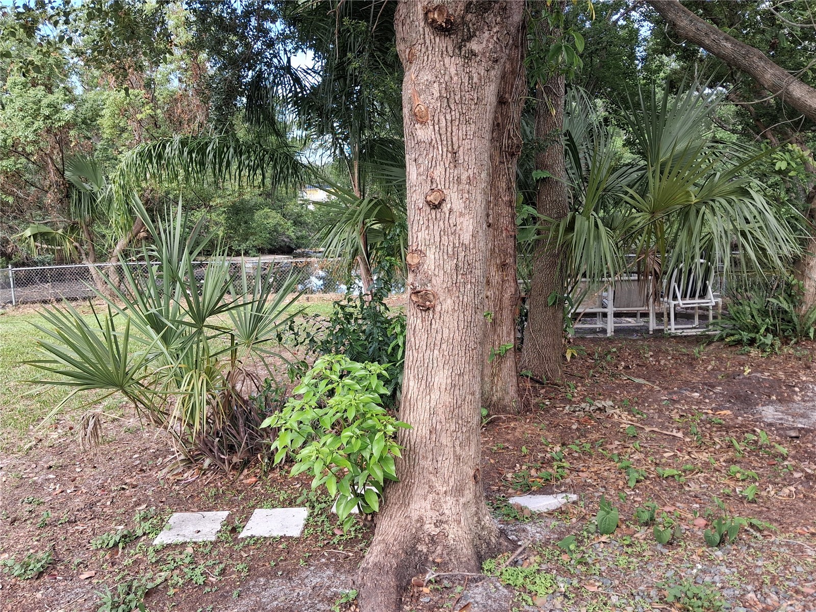 6934 Oldgate Circle New Port Richey FL 34655 TB8526221 image12