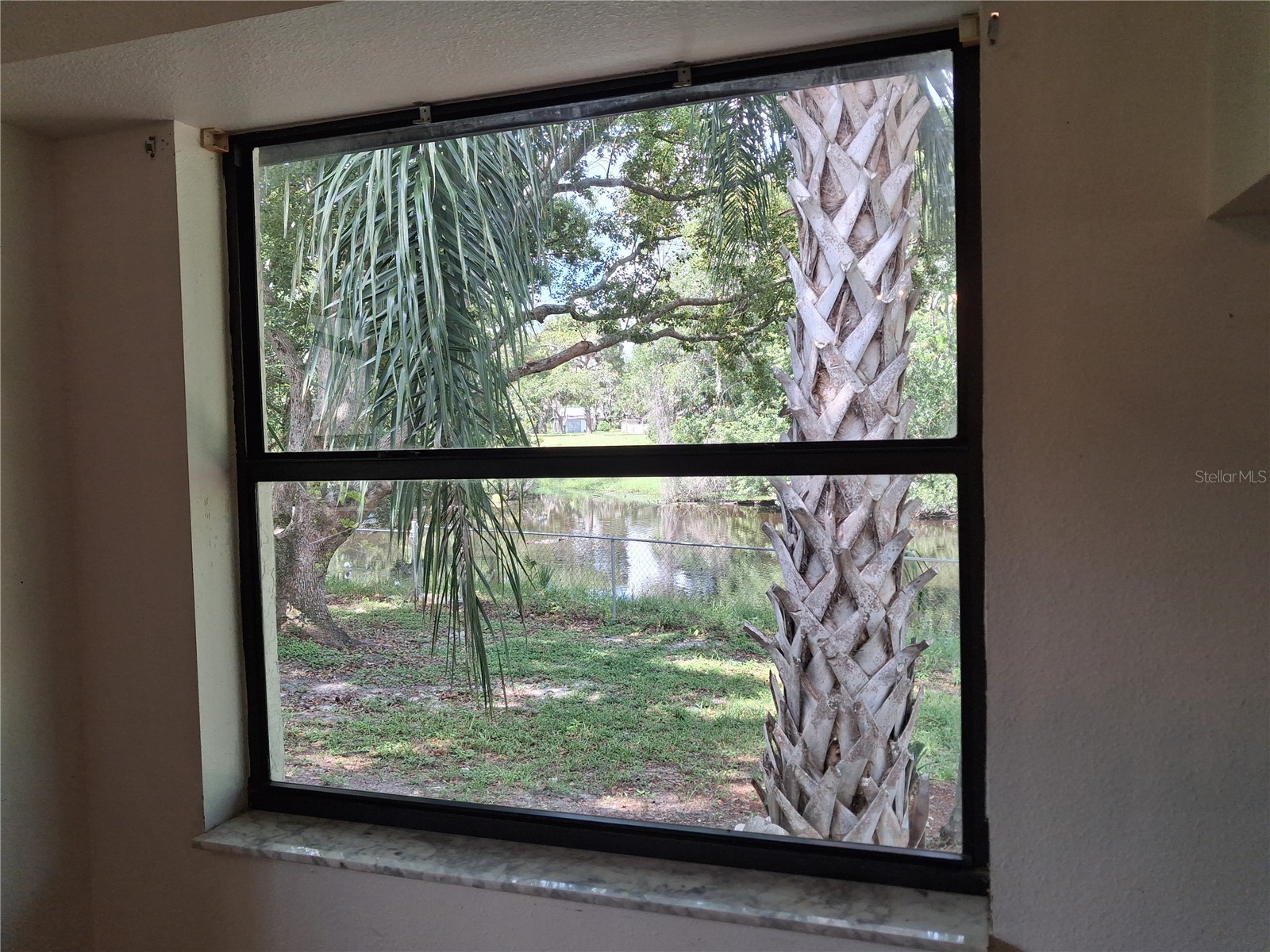 6934 Oldgate Circle New Port Richey FL 34655 TB8526221 image65