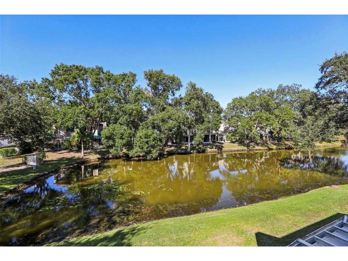 6935 Lake Place Court #6935 Tampa FL 33634 TB8440811 image1