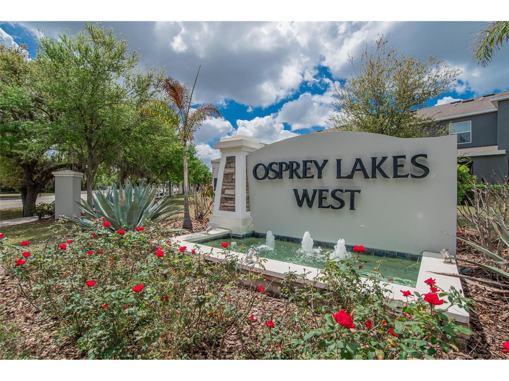 6936 Breezy Palm Drive Riverview FL 33578 TB8507165 image2