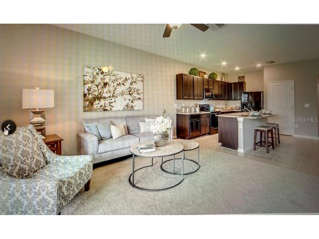 6936 Breezy Palm Drive Riverview FL 33578 TB8507165 image22