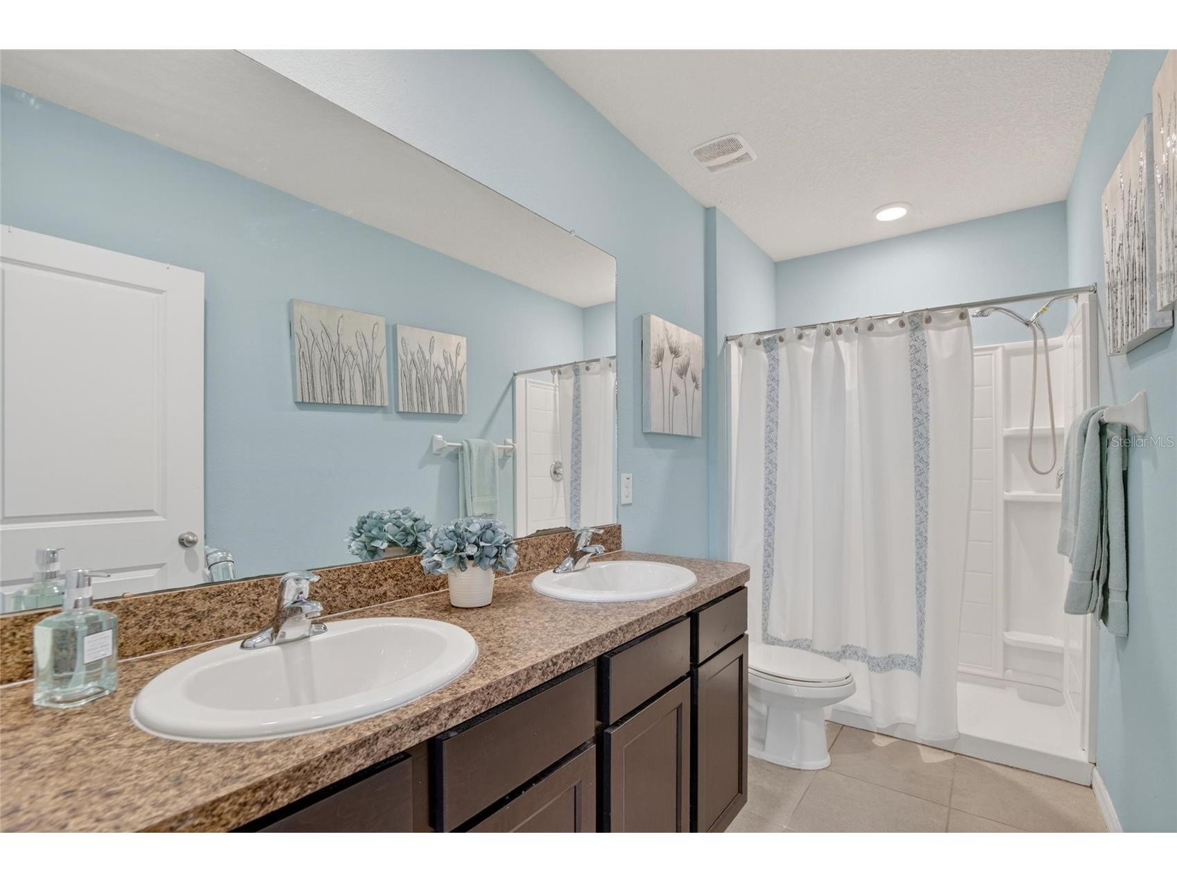 6936 Breezy Palm Drive Riverview FL 33578 TB8507165 image48
