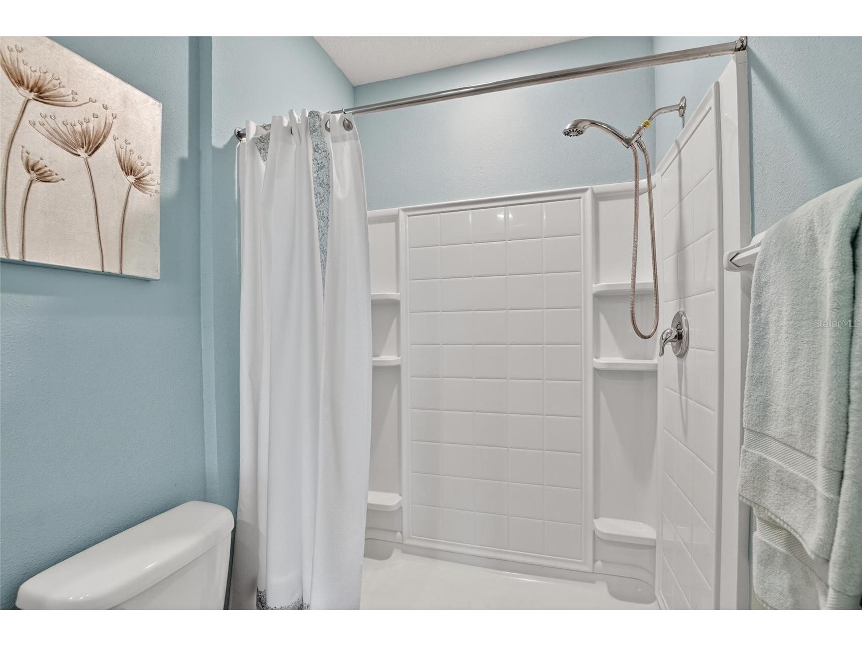 6936 Breezy Palm Drive Riverview FL 33578 TB8507165 image49