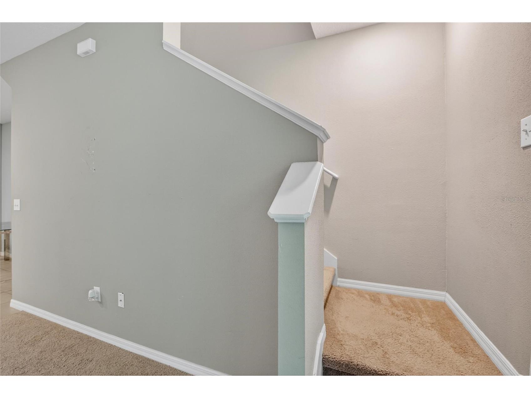 6936 Breezy Palm Drive Riverview FL 33578 TB8507165 image50