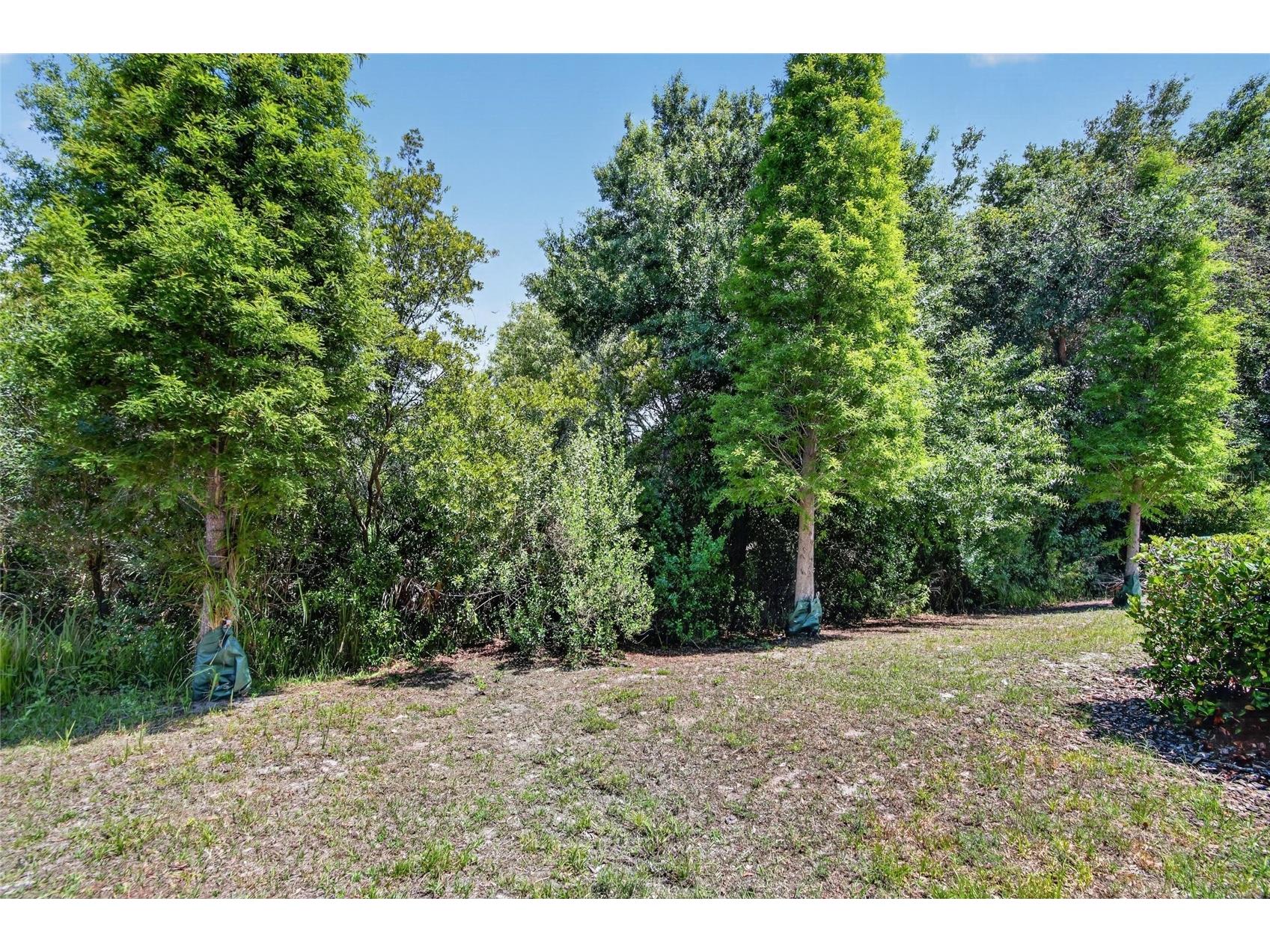 6936 Breezy Palm Drive Riverview FL 33578 TB8507165 image55