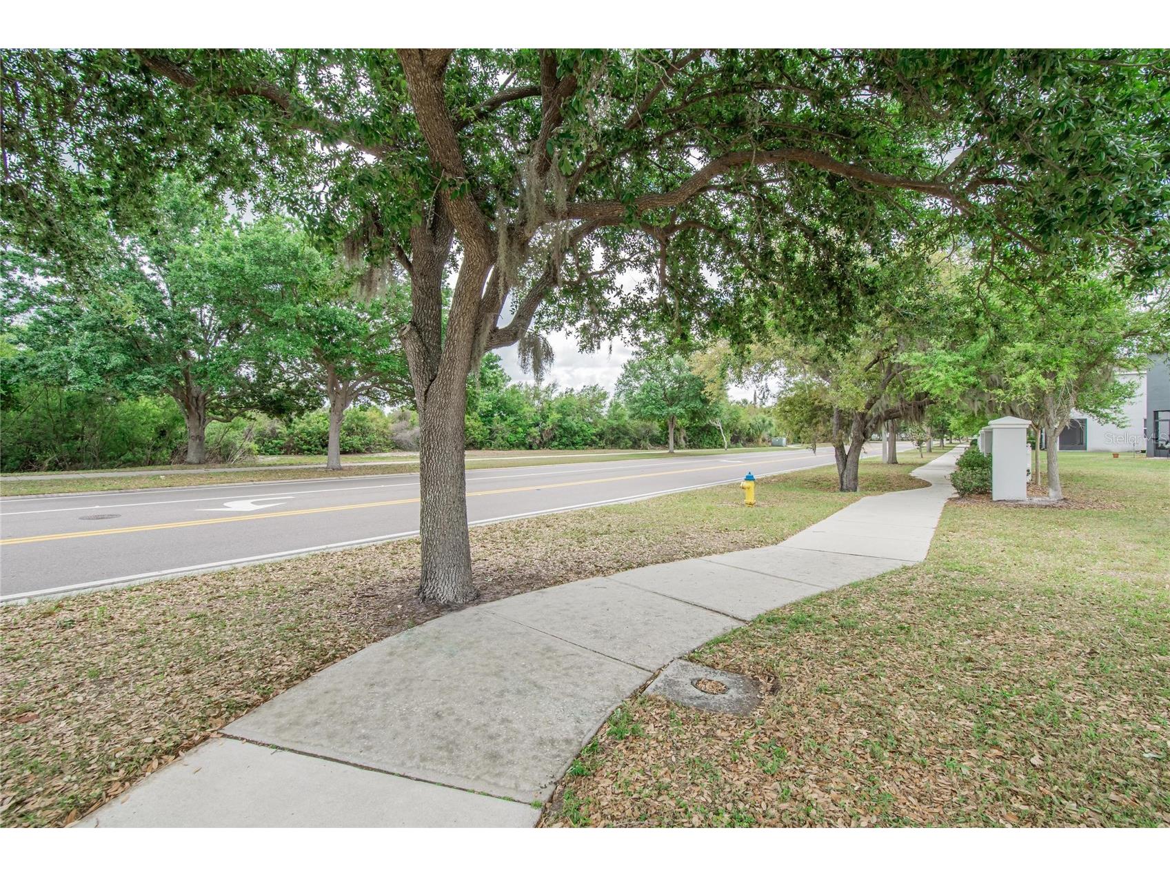 6936 Breezy Palm Drive Riverview FL 33578 TB8507165 image65