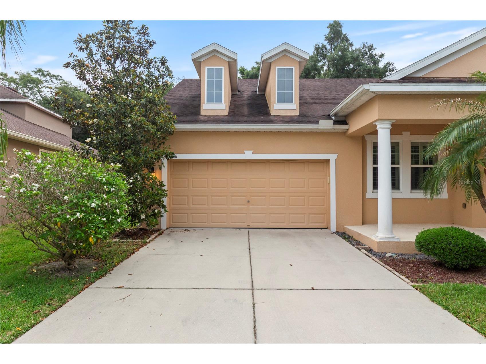 6936 Rocky Canyon Way Tampa FL 33625 TB8505138 image2