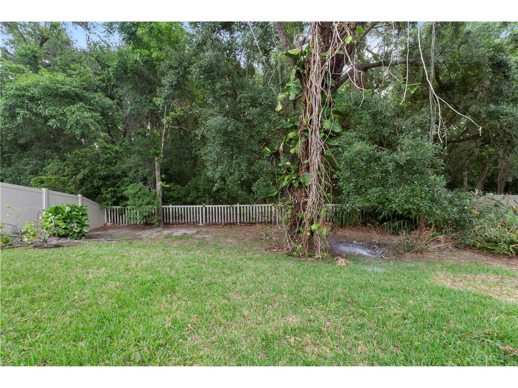 6936 Rocky Canyon Way Tampa FL 33625 TB8505138 image27