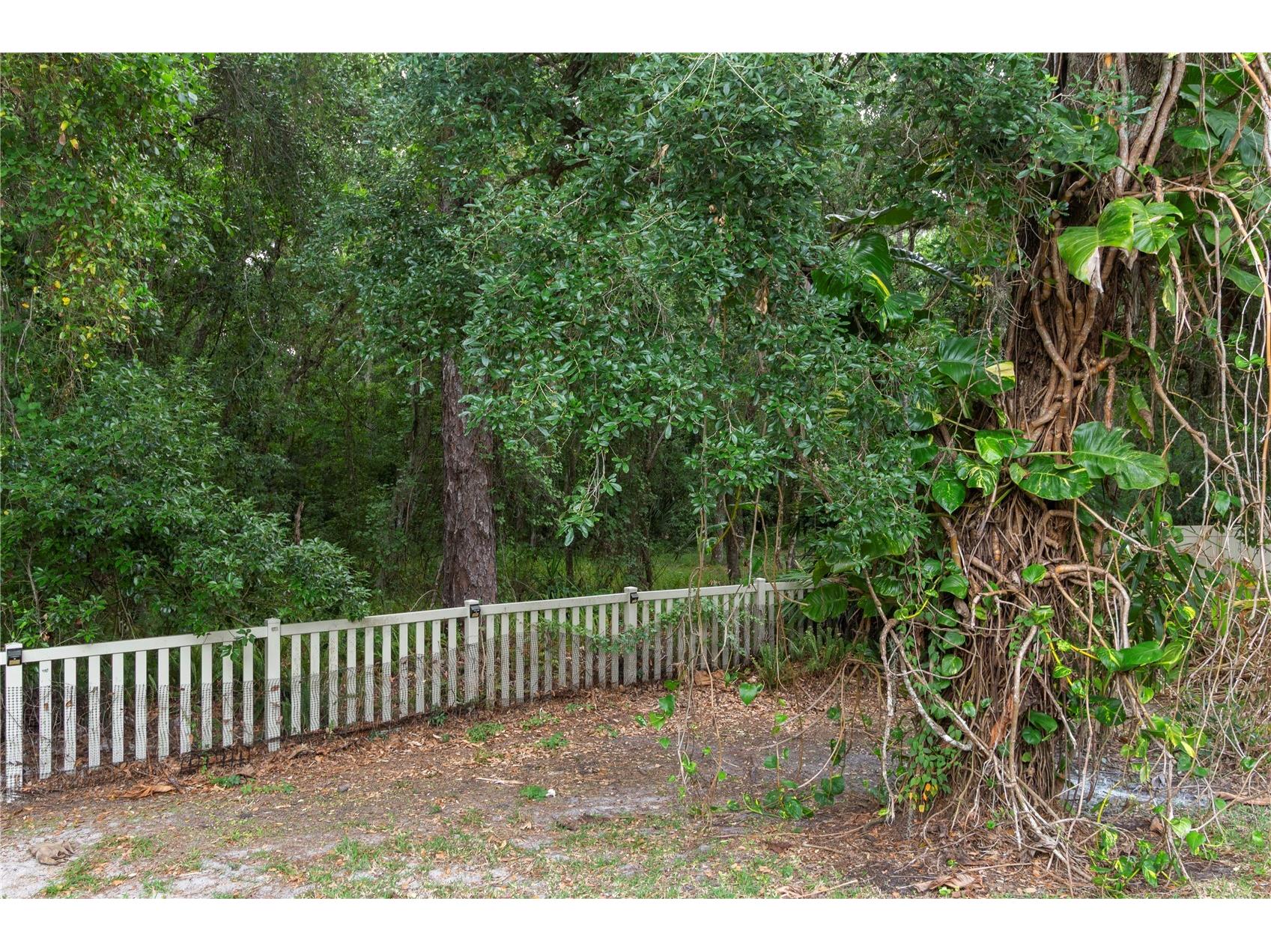 6936 Rocky Canyon Way Tampa FL 33625 TB8505138 image29