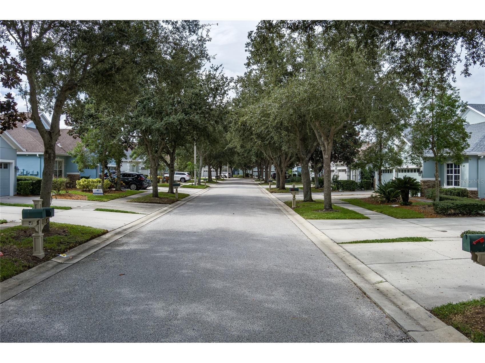 6936 Surrey Oak Drive Apollo Beach FL 33572 A4663605 image20