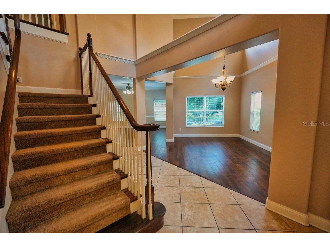 6937 Dolce Street Orlando FL 32819 O6365078 image3