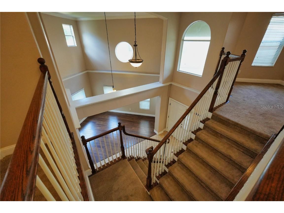 6937 Dolce Street Orlando FL 32819 O6365078 image33