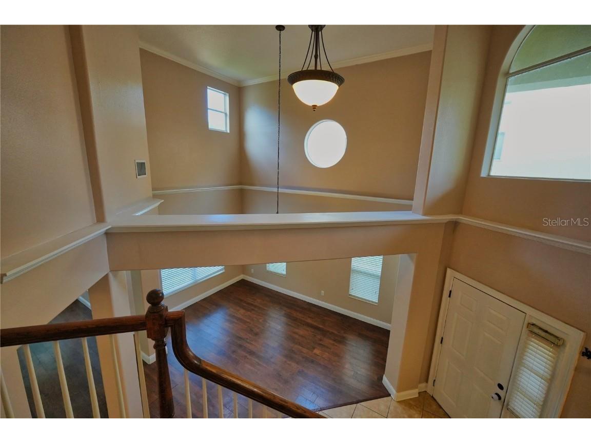 6937 Dolce Street Orlando FL 32819 O6365078 image8